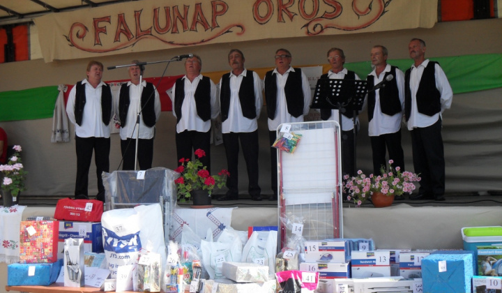 Falunap - Deň obce 2014